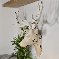 Side view of stag head mounted to wall 