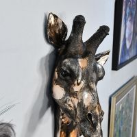 Side view of Giraffe head 