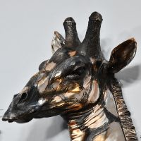 Close up of Giraffe head 