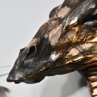 Close up of giraffe mouth and head 