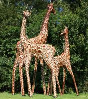 “Diablo, Desoto, and Denver" Giraffe Sculpture,
