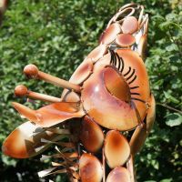 Close up of Giraffe Head