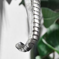 Close up of elephant trunk 