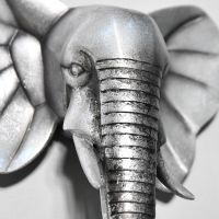 Close up of elephant head 