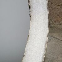 Close-Up of Framework