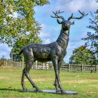 Gold & Black Young Stag Sculpture 