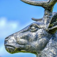 Side profile of Black & Gold Stag Sculpture 