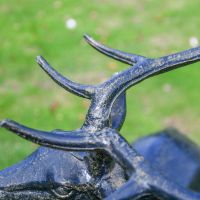 Close up of detailing of Stag Sculpture 