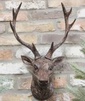 Wall Mounted Rustic Stag Head in Situ 