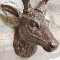 Close up of stag head detailing 