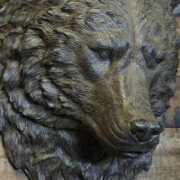 Close up of face detail