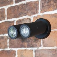 Dual Cylinder Downlight in Black