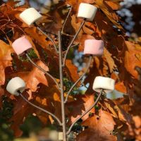 Marshamallows on Marshmallow Toasting Fork