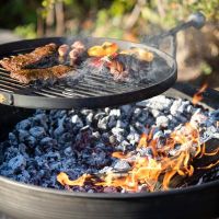 Firepit with Swing Arm in Use