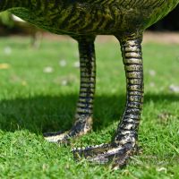 Looking Down Bronze Finish Geese Garden Sculpture Close Up Of Feet
