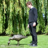 Looking Down Bronze Finish Geese Garden Sculpture Scale Shot