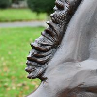 Side view of horse mane 