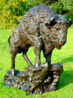 Cast Aluminium Buffalo Sculpture 
