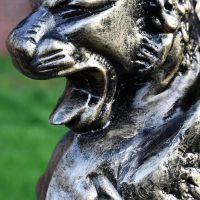 Close up of Cat Griffin Sculpture mouth 