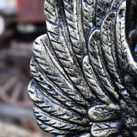 Close up of highly detailed feathered wings 