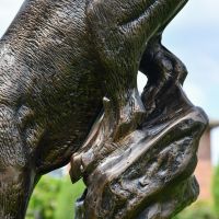 Close up of fur and leg detailing
