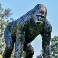 Bronze Effect Gorilla Sculpture in Garden 
