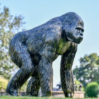Side profile of Bronze Effect Gorilla Sculpture in Garden 