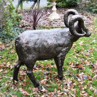 Side view of Standing Ram Sculpture 