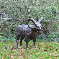 Standing Ram Sculpture in Situ 