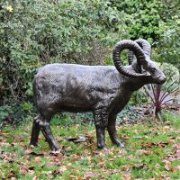 Standing Ram Sculpture in full 