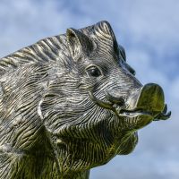 Close up of detailed Wild Boar Sculpture 