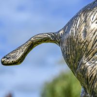 Rear view and tail of Wild Boar Sculpture in Bronze 