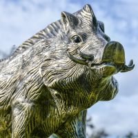 Close up of Bronze Wild Boar Sculpture 