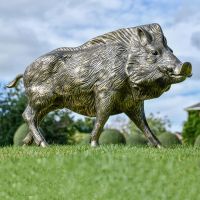 Bronze Finish Wild Boar Sculpture 