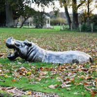 Profile view of half hippo sculpture 