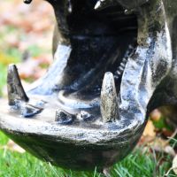 Close up of mouth and teeth 