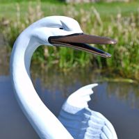 Close up of Swan Head Sculpture 