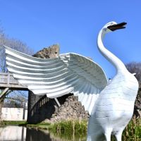 Close up of view of White Posturing Swan Garden Sculpture 