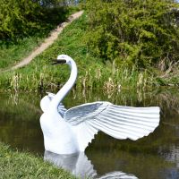 White Swan Sculpture in Water 