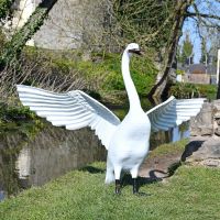 White Posturing Swan Garden Sculpture in Situ 