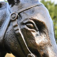Close up of sculpture"s eye 