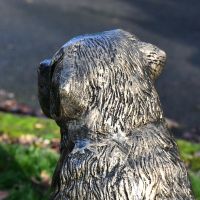 Rear view of St. Bernard head with etched detailing 