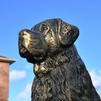 Upwards view of St. Bernard Puppy Antique Gold Sculpture 