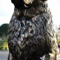 Close up of etched detailing on chest of St. Bernard Sculpture 