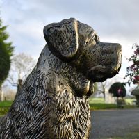 Side view of detailing on St. Bernard Sculpture 