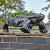 Antique Gold Tortoise Planter 