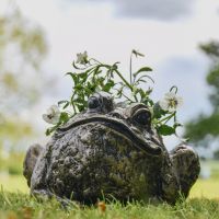 Antique Gold Bullfrog Planter 