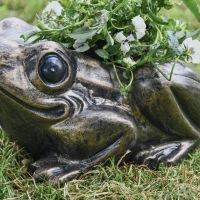 Close up of Toad Planter 