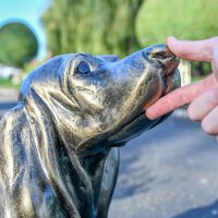 Side profile of Antique Gold Basset Hound Sculpture 