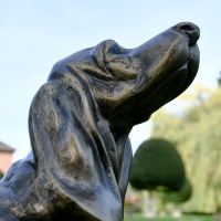 Close up of Basset Hound Sculpture 